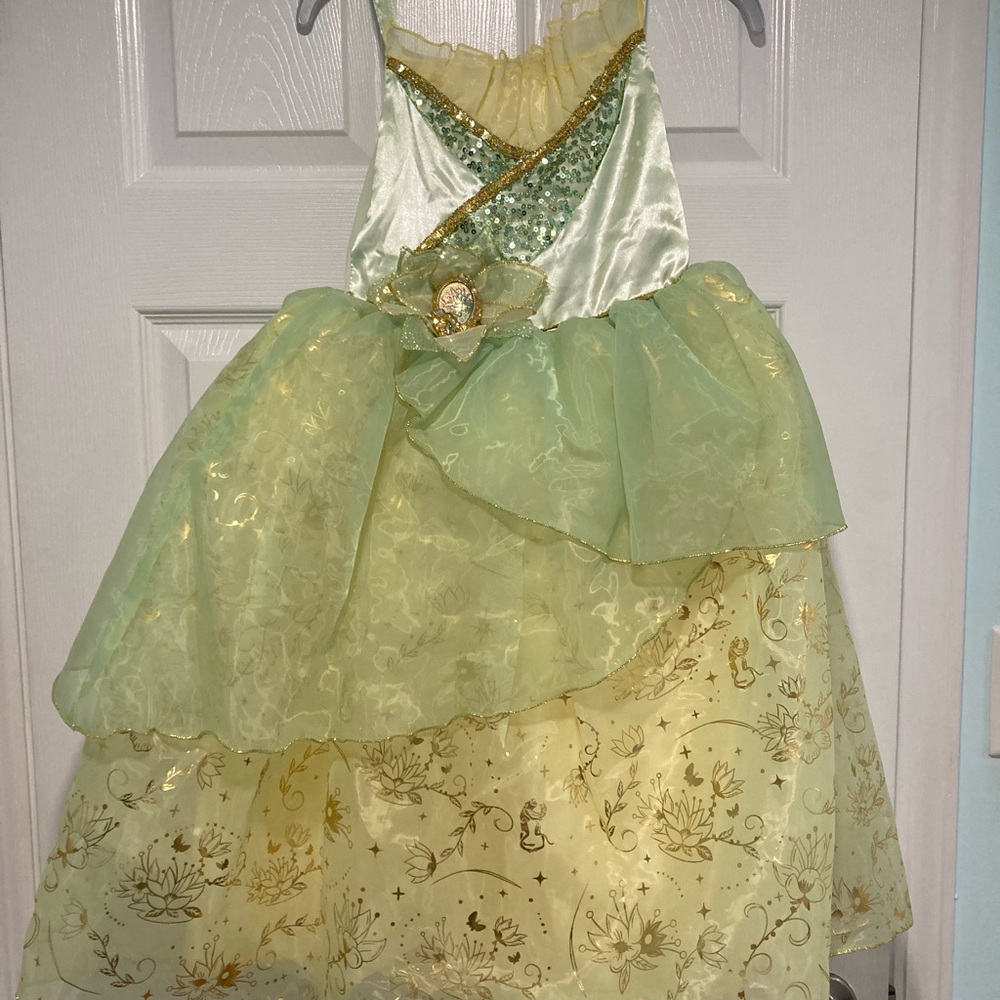 Disney brand princess dress. Size 5-6. Barely used! From Princess and the Frog.